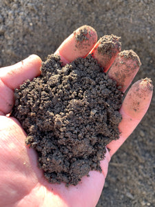 Raw Top Soil